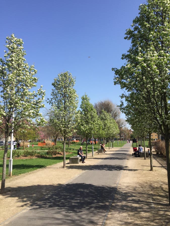 Sunny park editorial photo. Image of trees, london, sunny 52821026