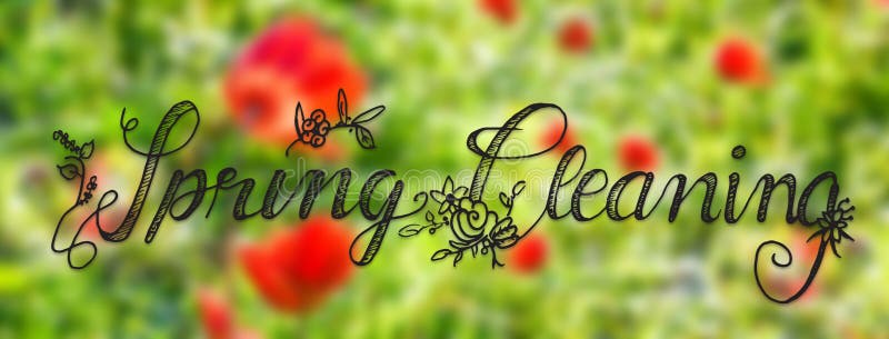 Sunny Poppy Flower, primavera, pulizie di primavera di calligrafia illustrazione di stock Sunny Poppy Flower, primavera, pulizie di primavera di calligrafia illustrazione di stock
