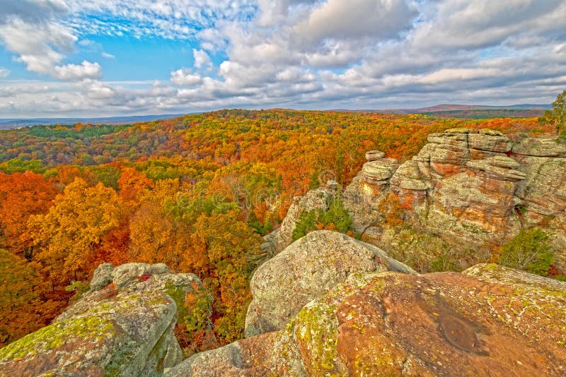 Sunny Skies and Fall Colors in Garden of the Gods