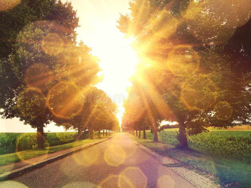 Sunny street stock image. Image of bicycle, trees, abstract 58396701