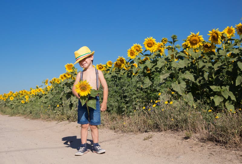 Cute boy 4-5 years old in a yellow hat and shorts with a sunflower in hands stands near field of blooming sunflowers