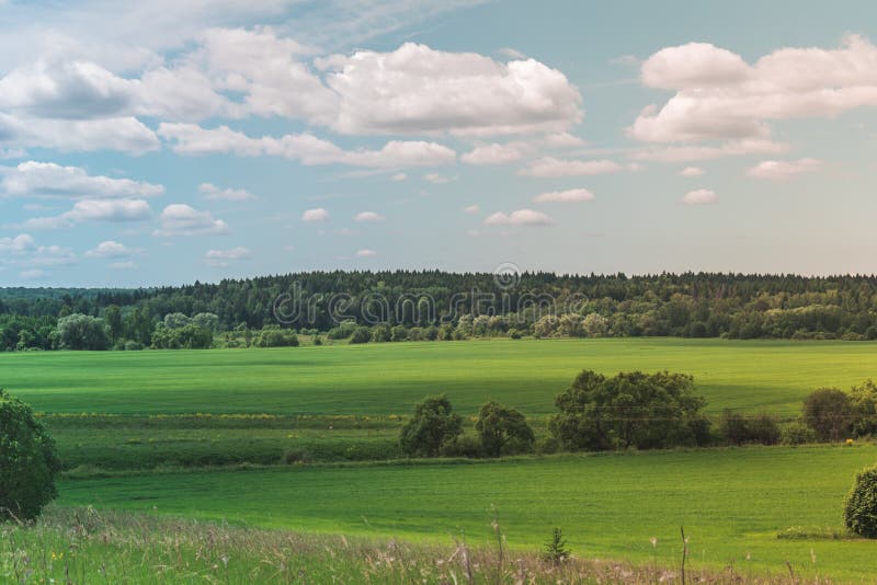 Sunny Summer Green Field intelligent color?, paysage d'?t? de rivi?re avec le ciel nuageux, les arbres et les collines bleus images stock Sunny Summer Green Field intelligent color?, paysage d'?t? de rivi?re avec le ciel nuageux, les arbres et les collines bleus images stock