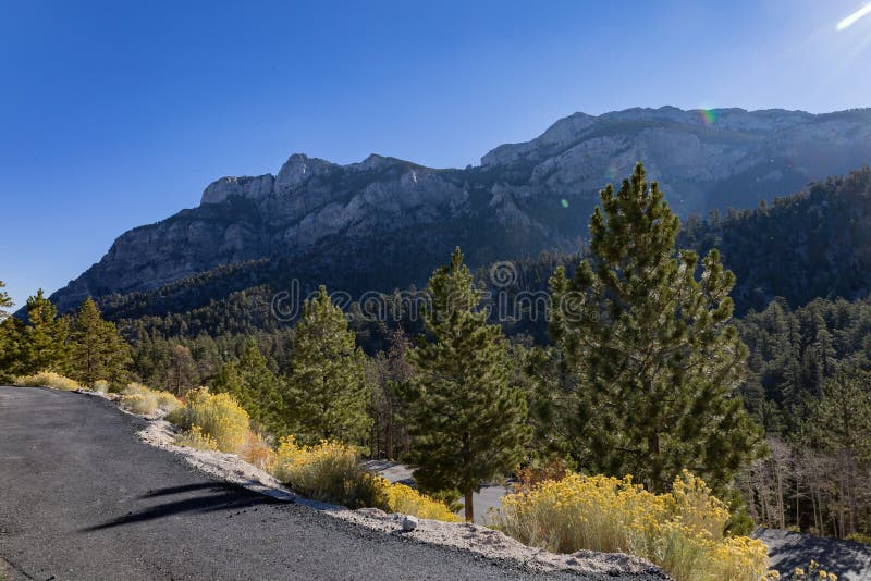 Sunny View of the Fall Color of Lee Canyon Stock Photo Image of fall