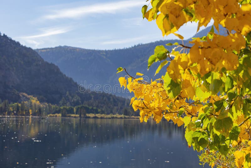 Sunny View Of The Fall Color Of Silver Lake Stock Photo Image Of