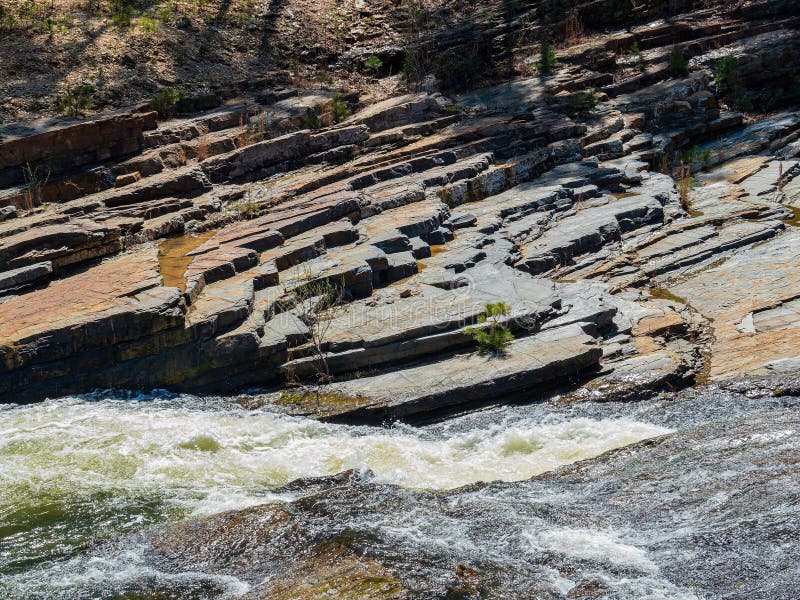 Sunny View of the Landscape of Friends Trail Loop Trail in Beavers Bend