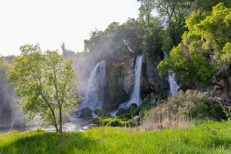 Sunny view of the landscape of the Rifle Falls royalty free stock photos