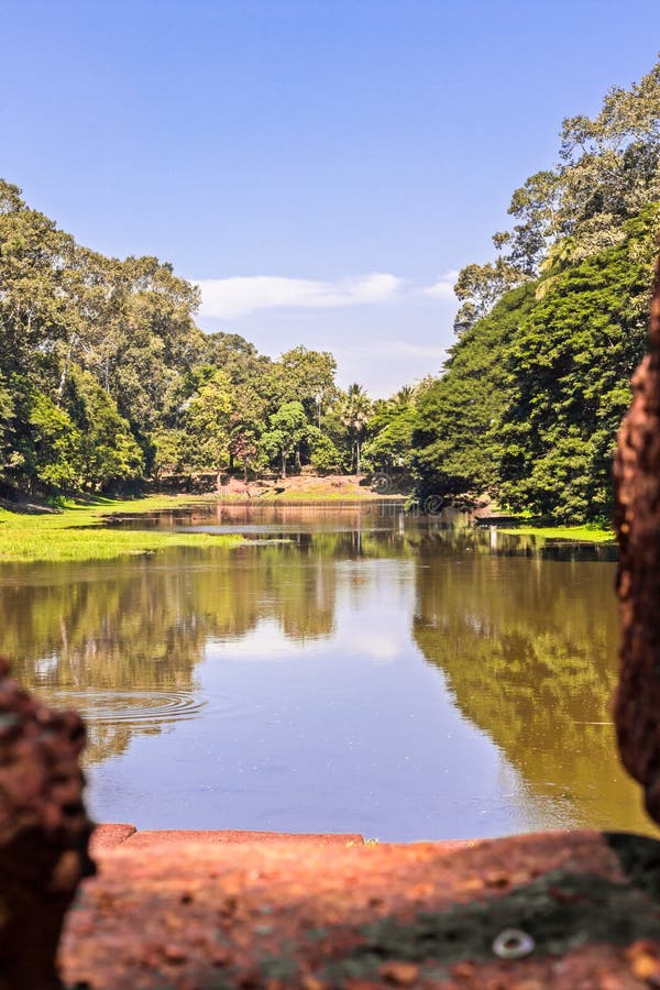 Sunny Water Pond Scene rurale con cielo blu - stagno di acqua con una riflessione soleggiata degli alberi in una zona rurale bosc immagine stock libera da diritti Sunny Water Pond Scene rurale con cielo blu - stagno di acqua con una riflessione soleggiata degli alberi in una zona rurale bosc immagine stock libera da diritti