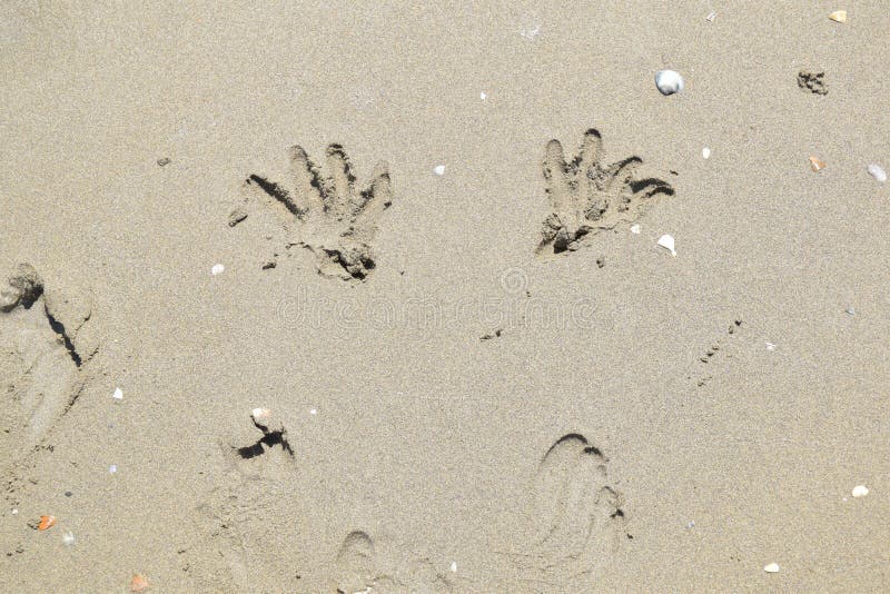 Sunny weather on the beach in Italy with imprints of hands and feet on the sand texture stock photography