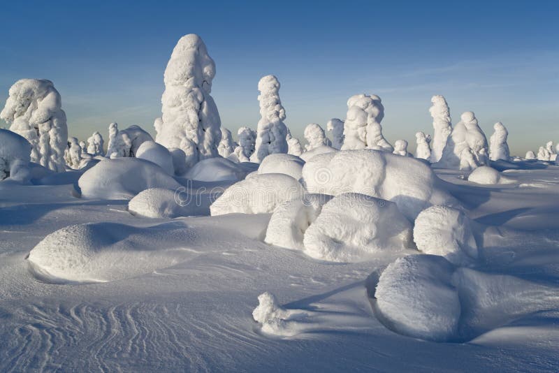 Sunny winter day