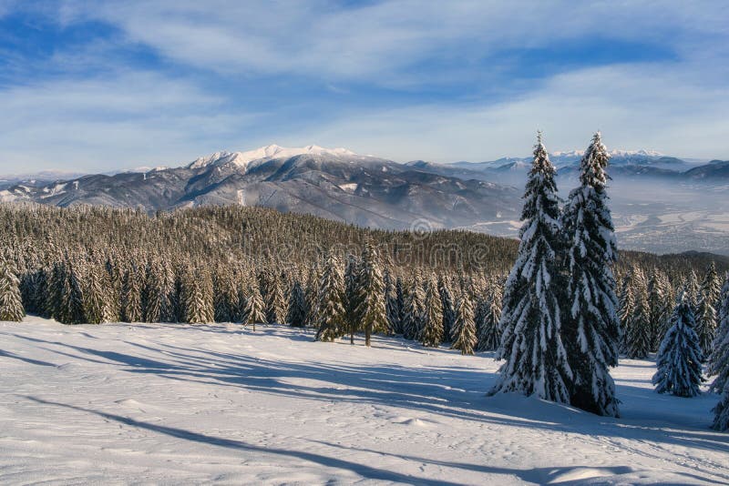 Sunny winter day from meadow under Dlha Luka hill on Mala Fatra mountains  near Martinske Hole