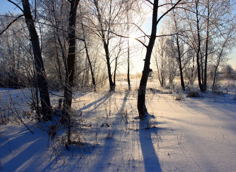 Sunny winter morning