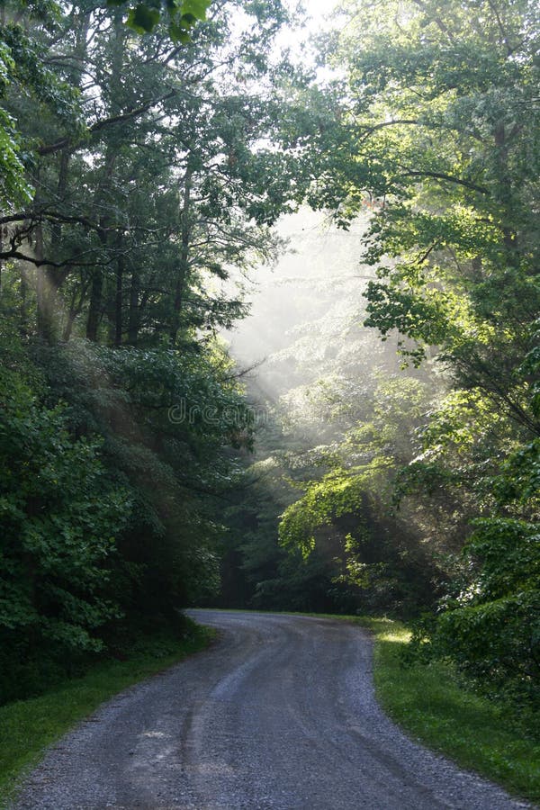 Sunrays over a dirt road