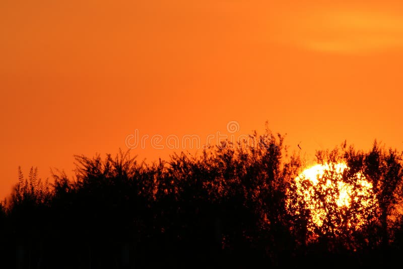 Sorgere del sole sopra l'orizzonte dorato del cielo.