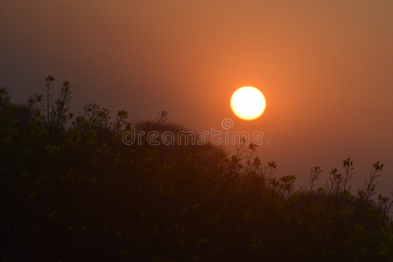 Sunrise a Amazon Picture BD Stock