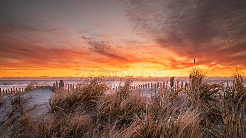 Sunrise at the beach with grass and a dune fence in the foreground