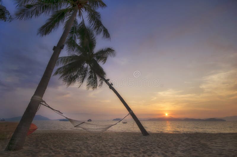 Sunrise With Coconut Palm Trees And Hammock On Tropical Beach