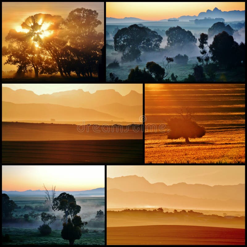 Sunrise Collage