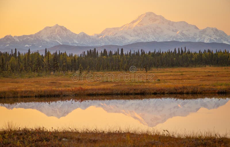 Sunrise colors above Mt. McKinley from Petersville road in Alaska stock image Sunrise colors above Mt. McKinley from Petersville road in Alaska stock image
