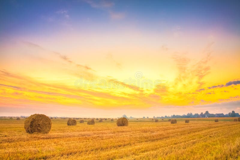 Sunrise field, hay bale in Belarus.