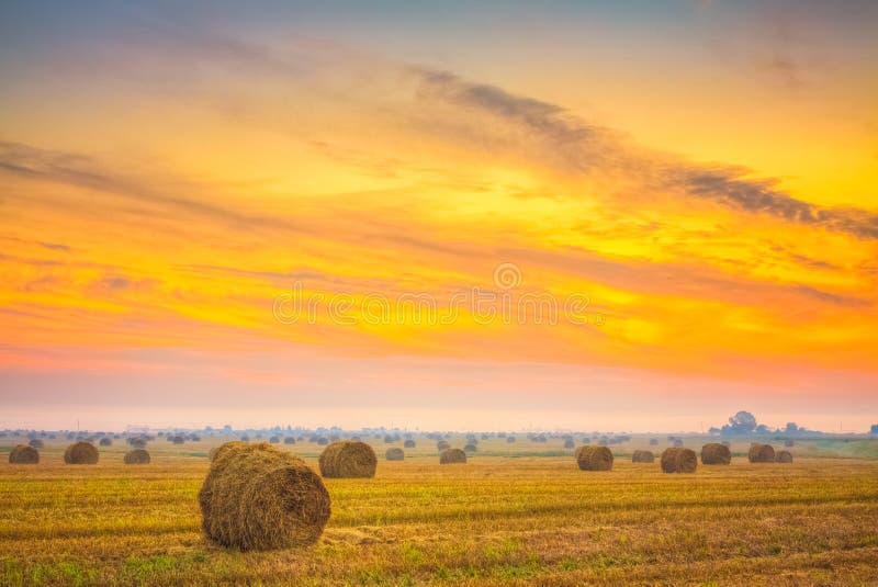 Sunrise field, hay bale in Belarus.