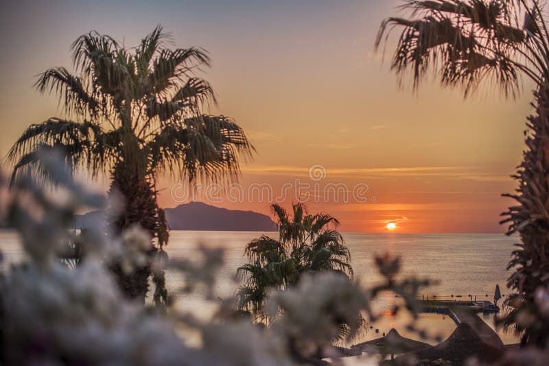 pic Good Morning Early Morning Sunrise Images With Flowers 68 447 sunrise flowers photos free