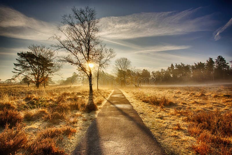 115 Lush Heathland Photos Free And Royalty Free Stock Photos From