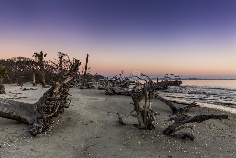 Sunrise Jekyll Island, Stock Photo Image of forest, ocean