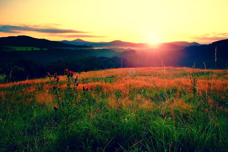 Sunrise Landscape.Early Morning Meadow. Stock Photo - Image of sunrise ...