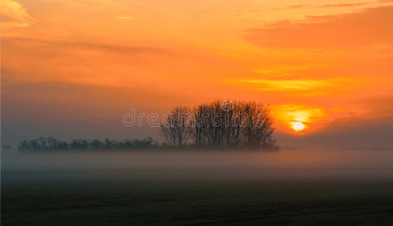 Sunrise landscape of Hortobagy landscape