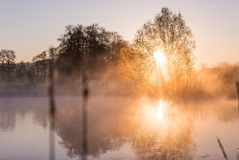 Sunrise Light Piercing through Mist and Trees and Reflecting in Stock