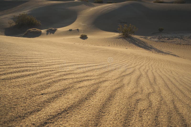 Sunrise Mesquite Sand Dunes-02