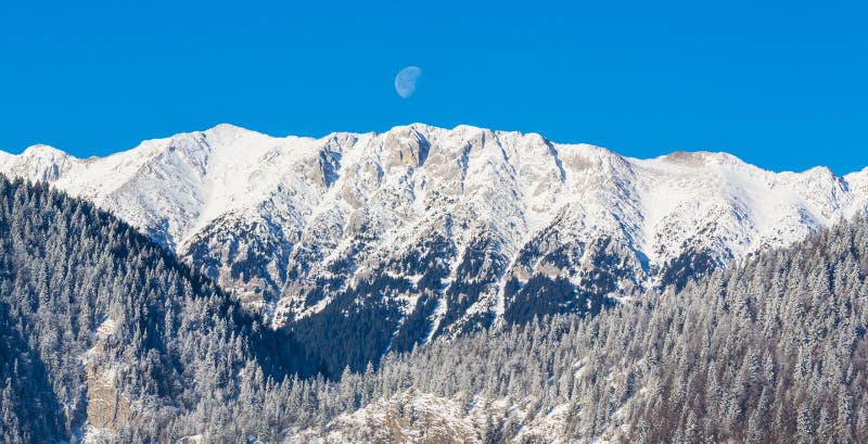 Sunrise in the mountains, with snow covered peaks and frost covered fir trees