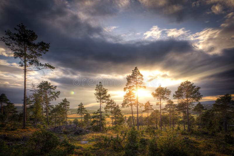 Sunrise over the autumn yellow and red trees. Sunrise or sunset over a mountain range and yellow - red autumn trees dressed in blue fog and morning haze. Scenic stock images