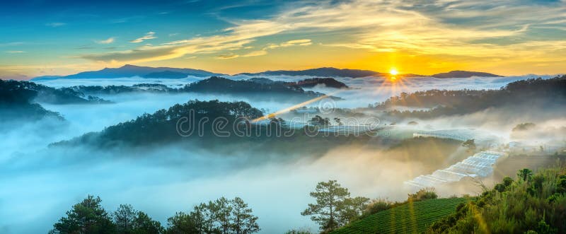 Sunrise over hillside as the sun rising from horizon reflect light bright yellow sky