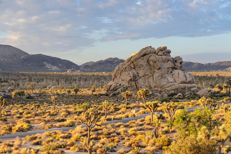 Sunrise Over Joshua Tree National Park Stock Image Image of american
