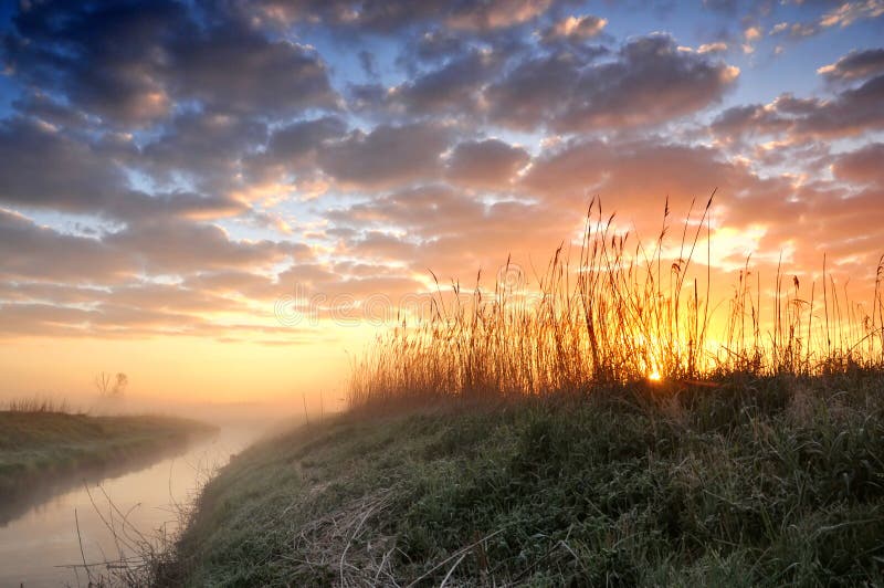 Sunrise over a misty river and reed royalty free stock images Sunrise over a misty river and reed royalty free stock images