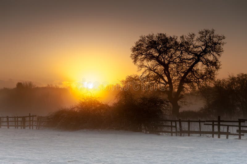 Sunrise Over A Snowy Field Stock Photo Image Of Format 26791858