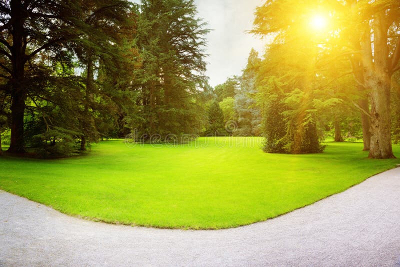 Sunrise In The Park Stock Photo Image Of Daybreak Meadow 106744910 sunrise-in-the-park-stock-photo-image-of-daybreak-meadow-106744910