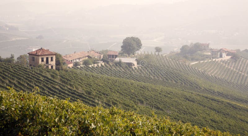 Sunrise in Piemonte, Italy. View from La Morra over the heart of Barololand. Sunrise in Piemonte, Italy. View from La Morra over the heart of Barololand