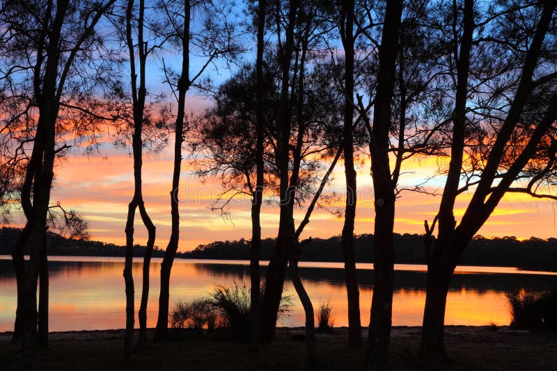 Sunrise reflections and Casuarina silhouettes at the Lagoon stock photos