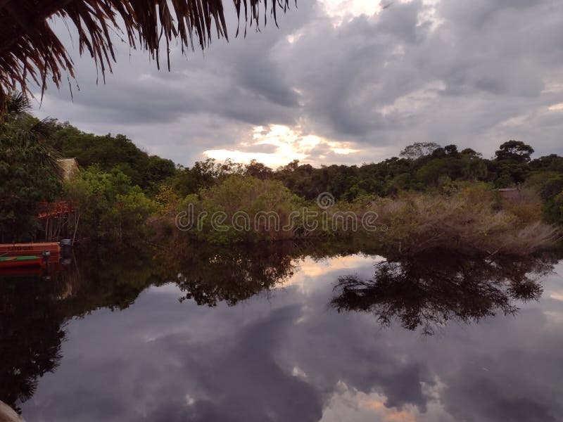 Sunrise of the Amazon Rainforest Stock Photo Image of living