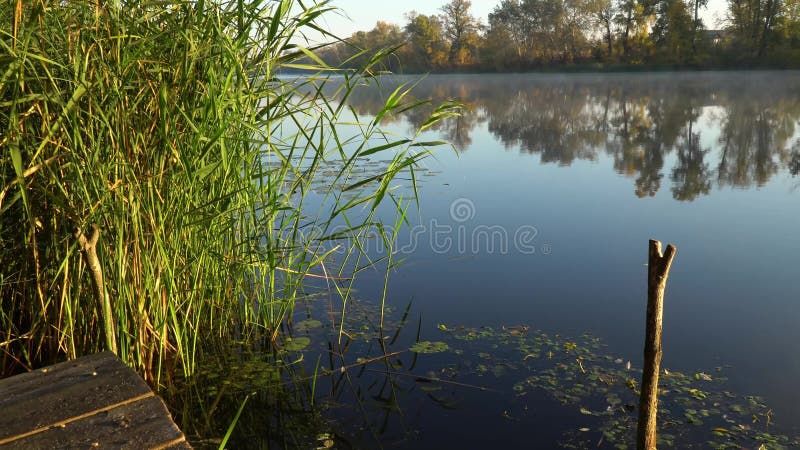 Sunrise on the riverbank. Landscape with reeds and fishing rod stands