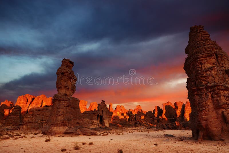 Sunrise in Sahara Desert