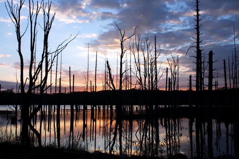 Sunrise at Shaggers Inn Dam stock image