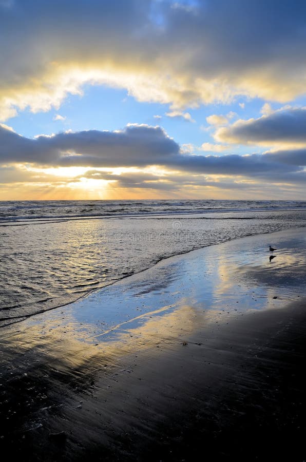 Sunrise with single bird royalty free stock photos