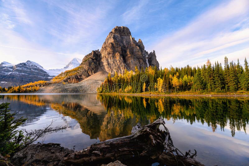 Sunburst forest panorama stock photo. Image of beautiful - 35129684