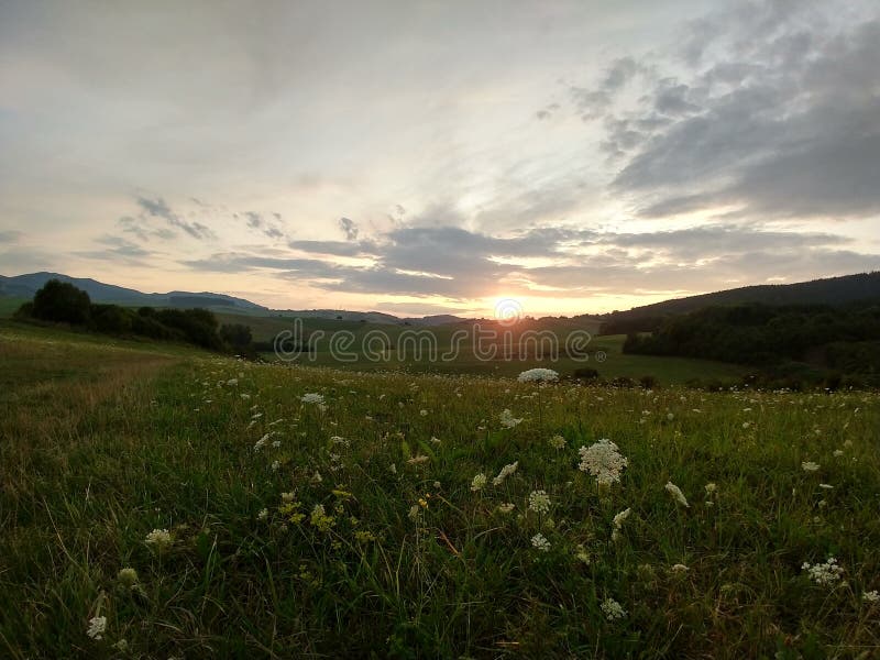 Východ alebo západ slnka nad kopcami a lúkou.