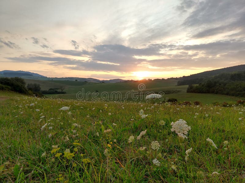 Sunrise or sunset over the hills and meadow.