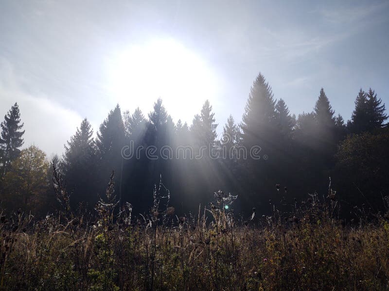 Východ alebo západ slnka nad kopcami a lúkou.