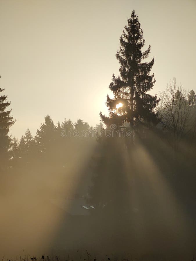 Východ alebo západ slnka nad kopcami a lúkou.